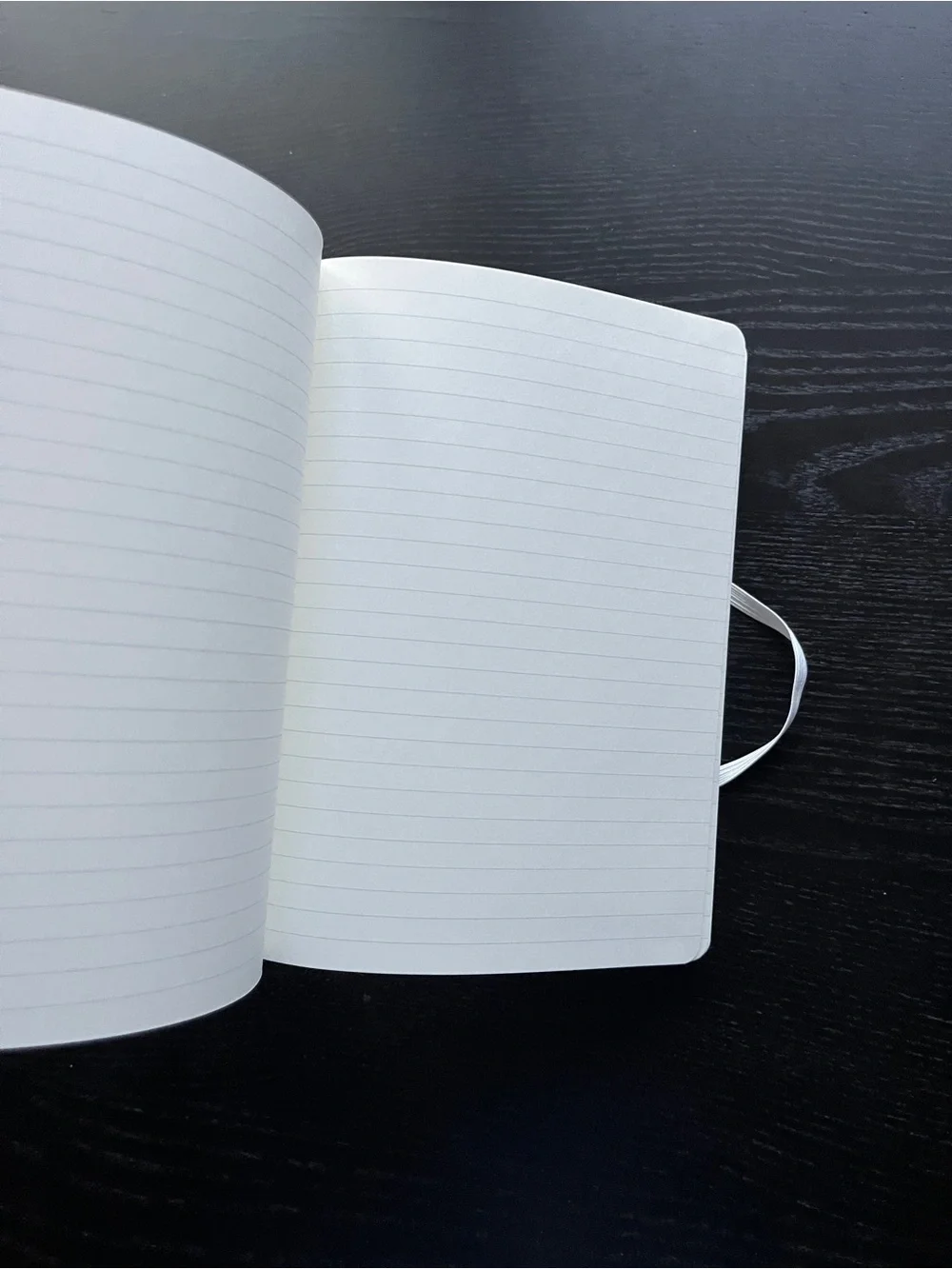 Paperage Datadog Hardcover Lined Journal Notebook White 5.7x8 Elastic Pocket